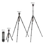 K&F KNF CONCEPT K254C2+BH-36L CARBON FIBER TRIPOD